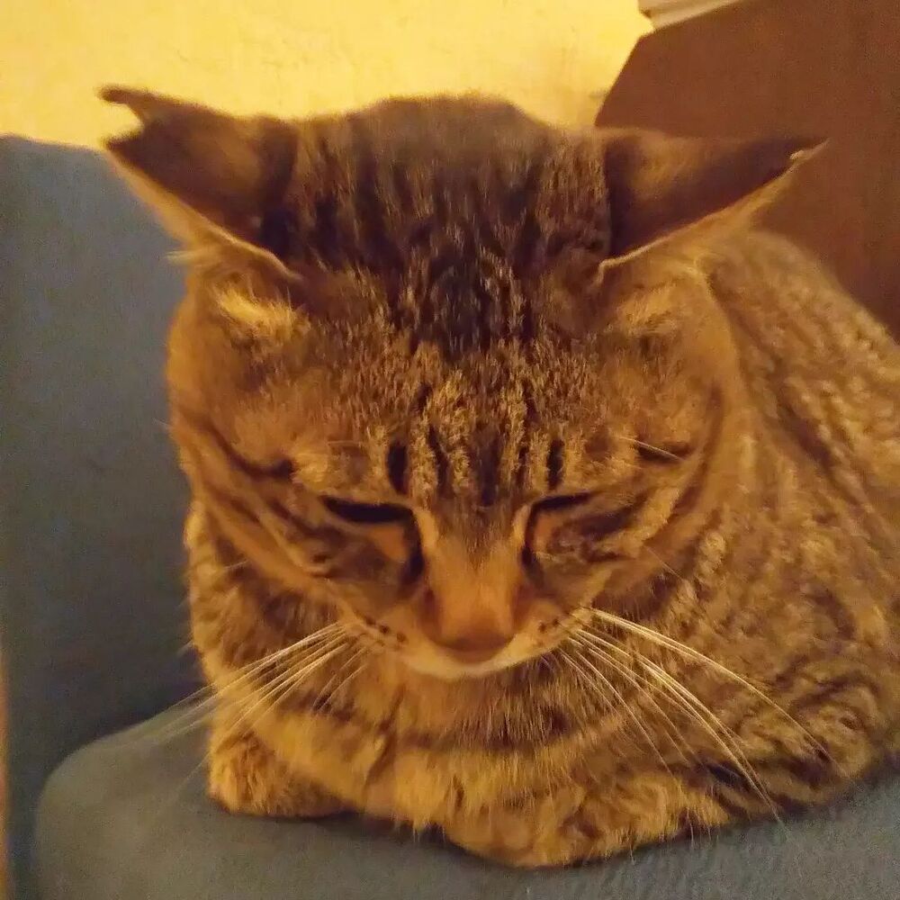 画像1320