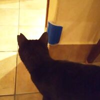 画像1321