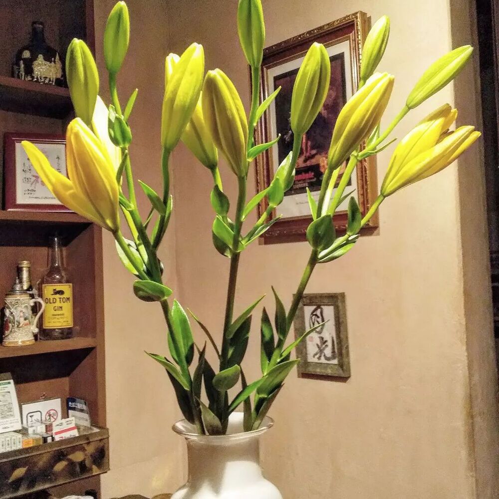 画像1683