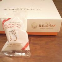 画像1829