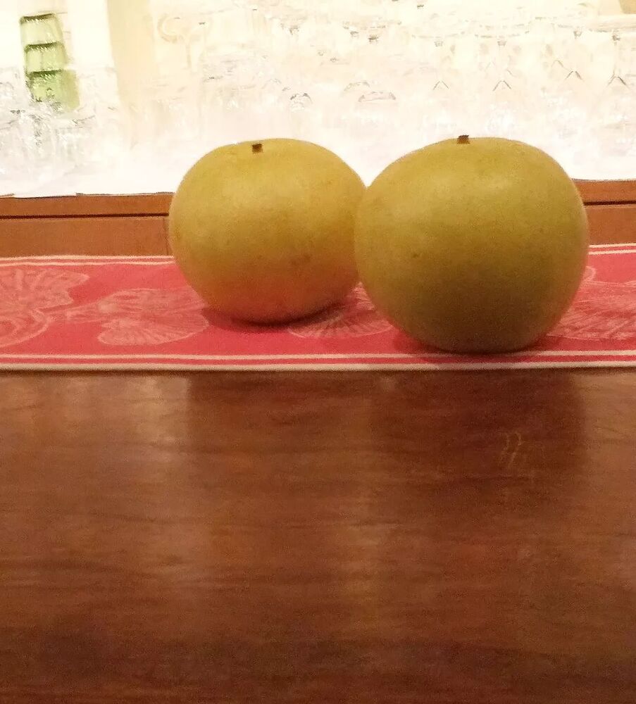 画像1830