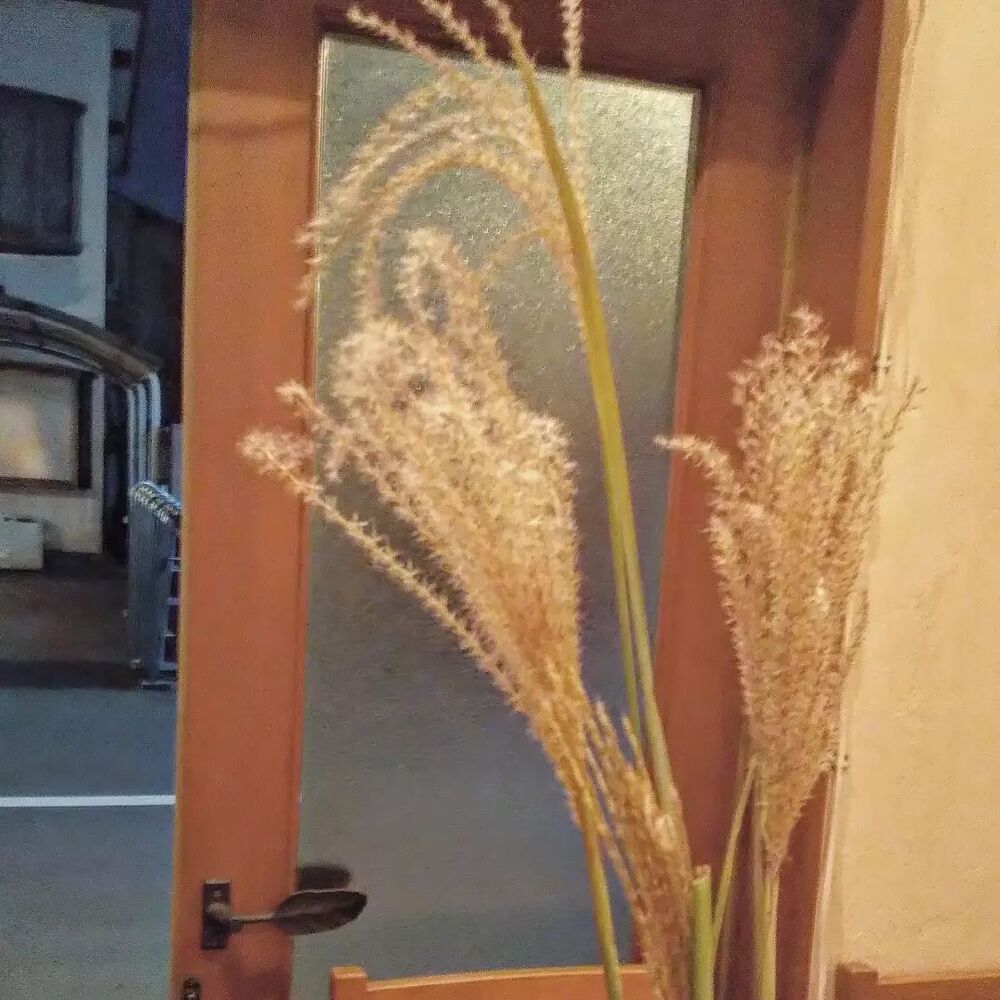 画像1941