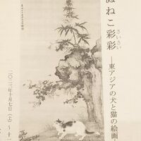 画像2054
