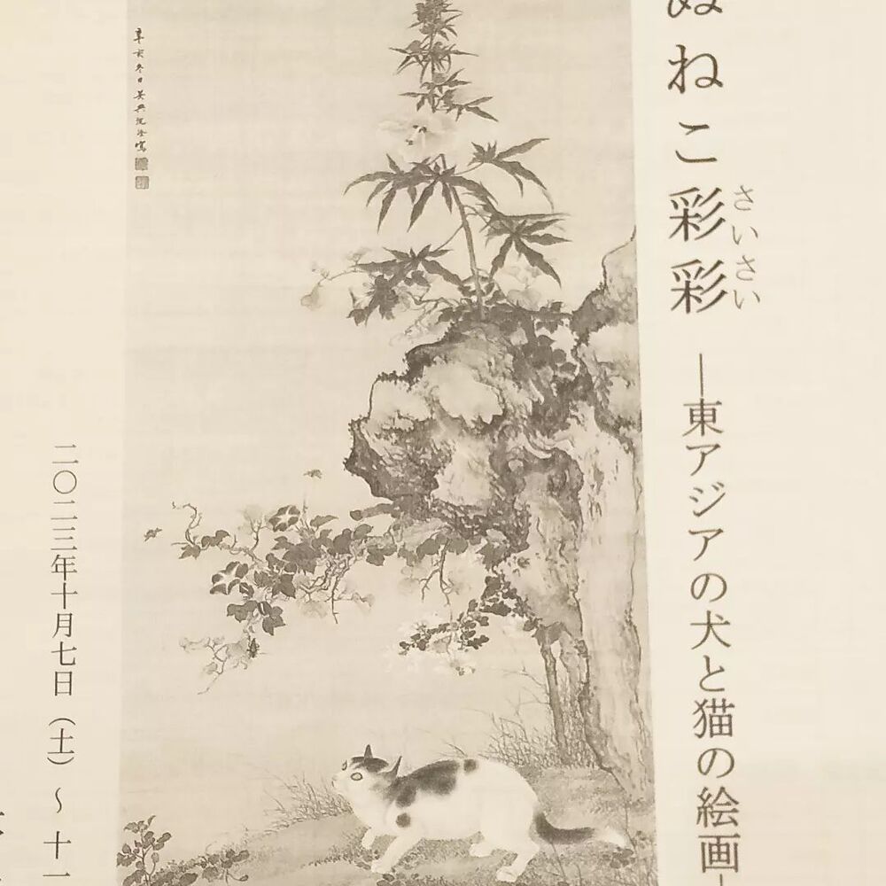 画像2054