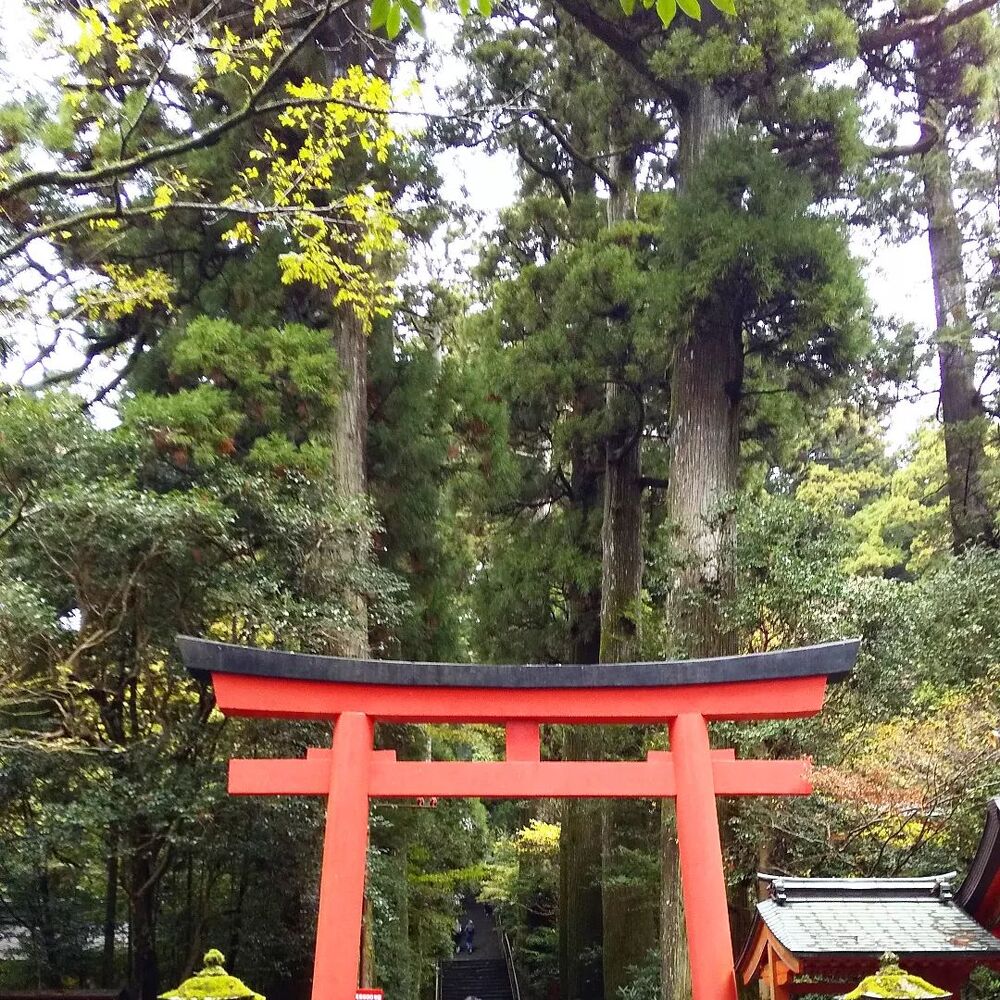 画像2091