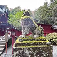 画像2093
