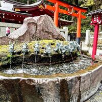 画像2095