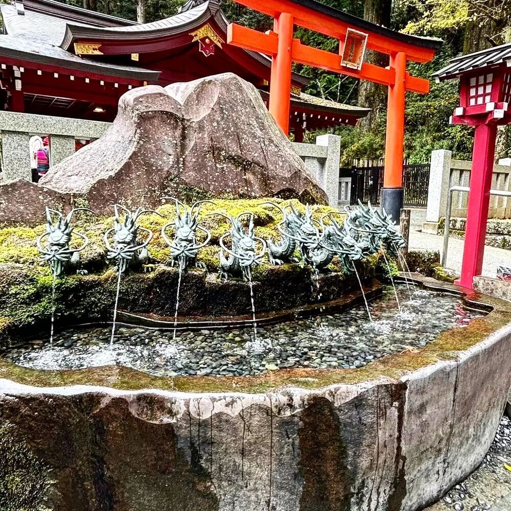 画像2095