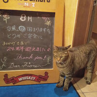 画像2583