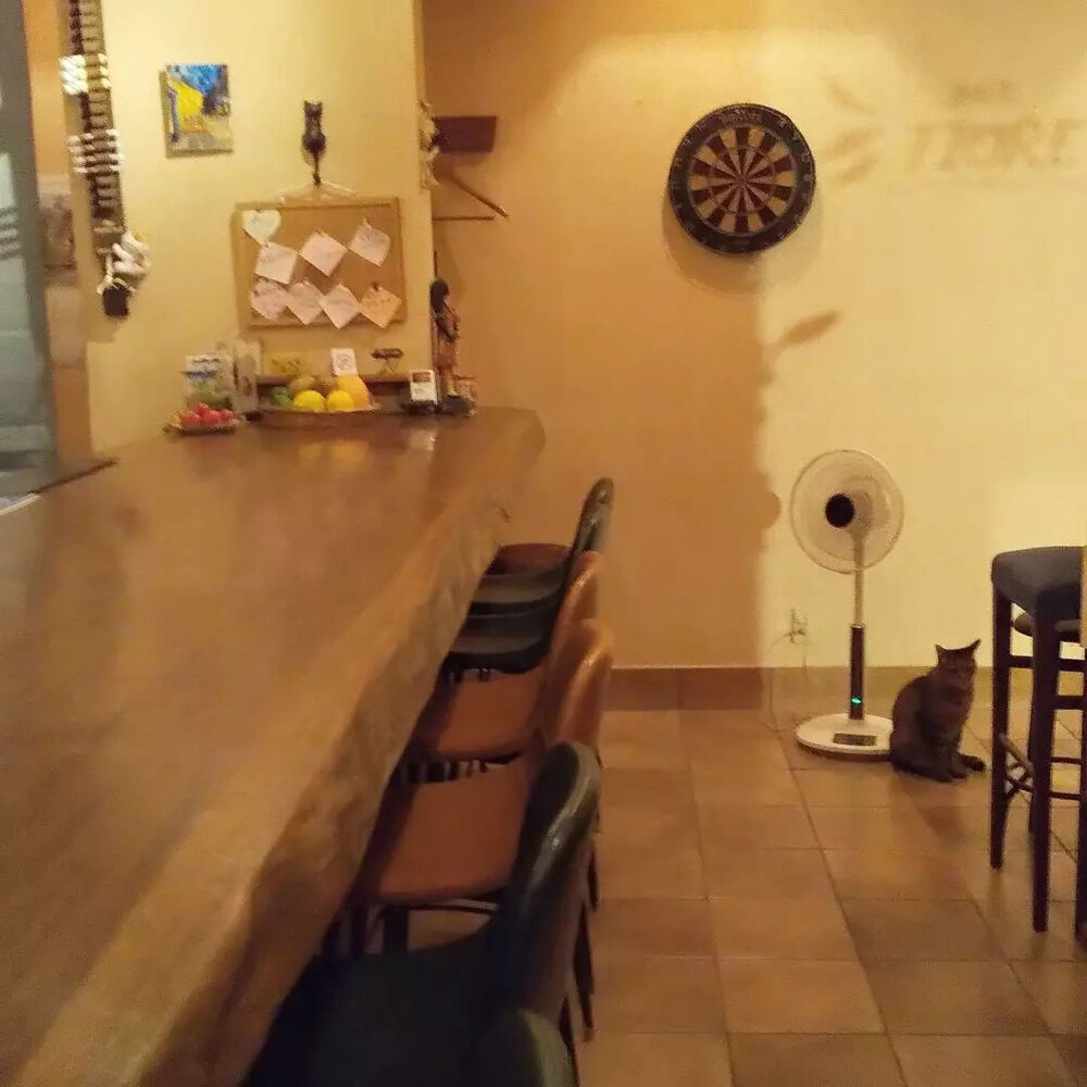 画像2588